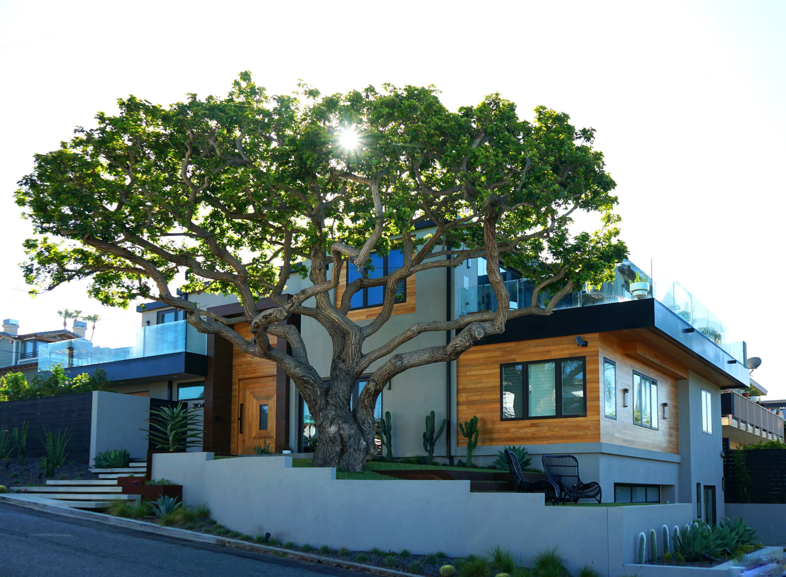 indoteak design-san diego-luxury-home-reclaimed-teak-wood-cladding